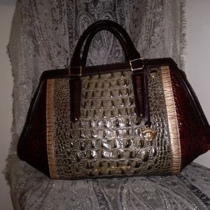 Brahmin Arden Satchel in Olive